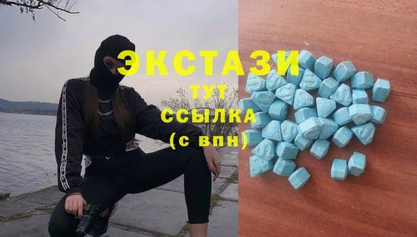 шишки Гусиноозёрск